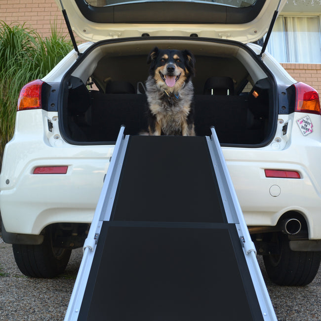 Zeez Deluxe Telescoping Pet Ramp