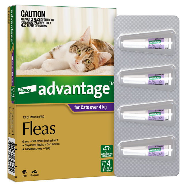 Advantage Purple - Large Cat Over 4kg