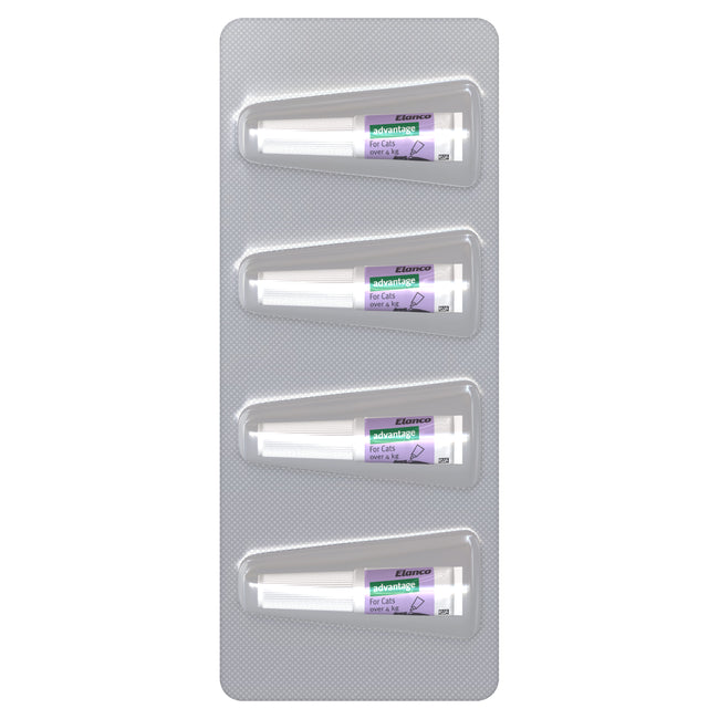 Advantage Purple - Large Cat Over 4kg
