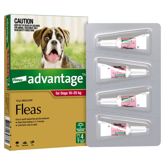 Advantage Large Dog up to 10-25kg