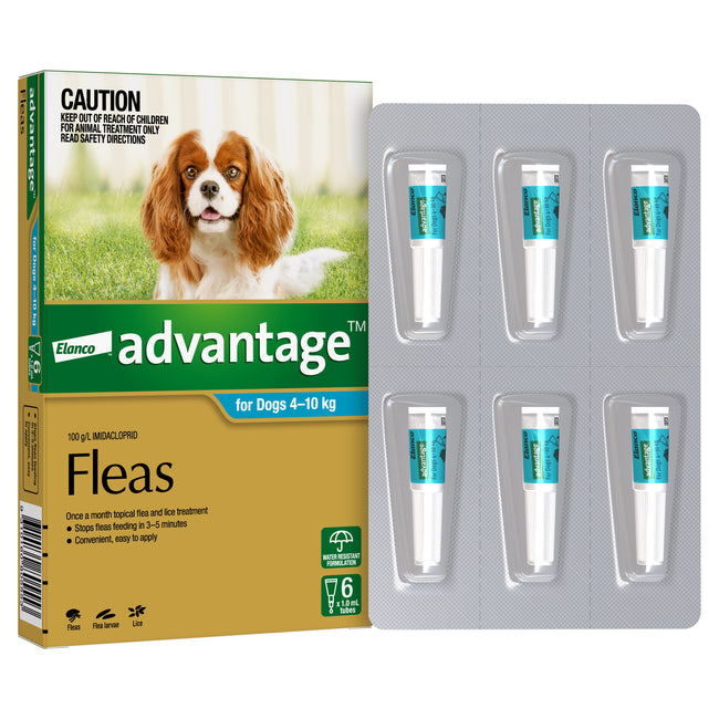 Advantage Medium Dog up to 4-10kg