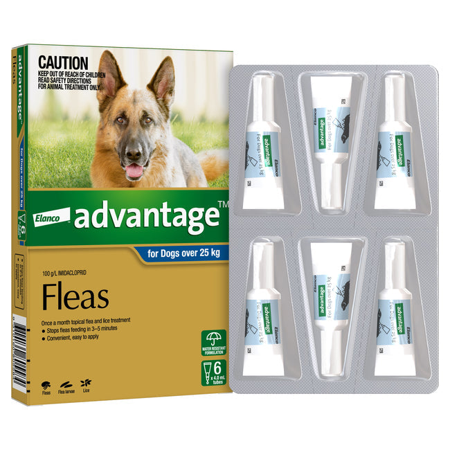 Advantage Extra Large Dog Over 25kg