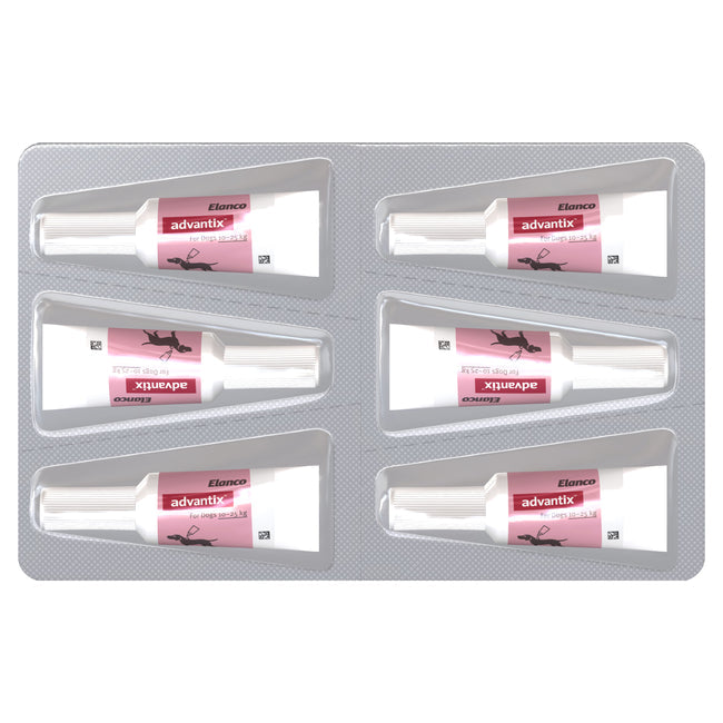 Advantix Large Dog 10-25kg