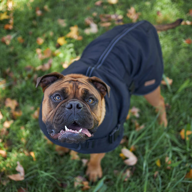 Kazoo Adventure Coat Black
