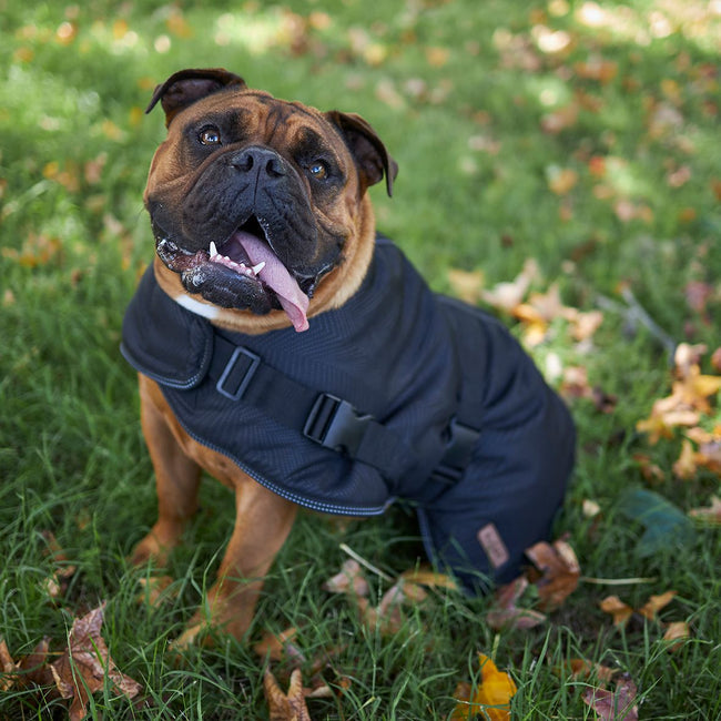 Kazoo Adventure Coat Black