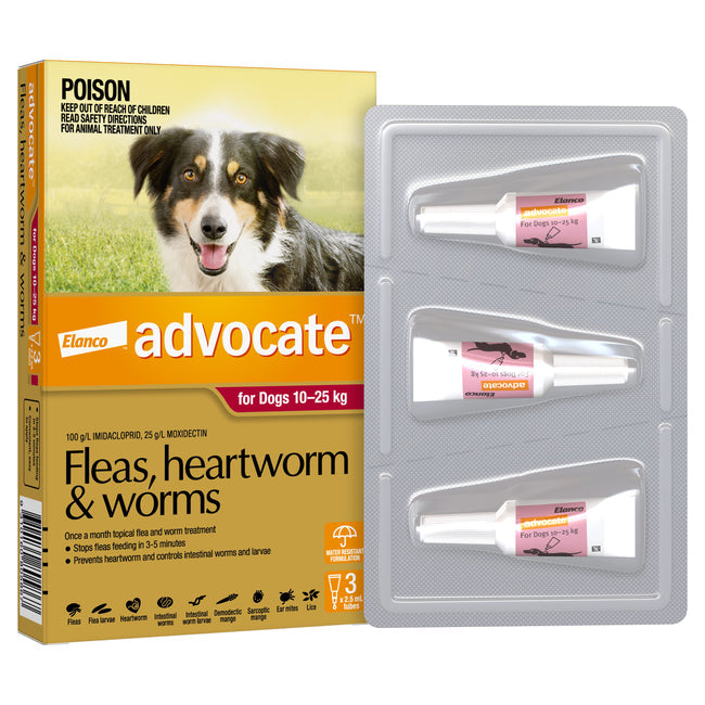 Advocate Red - Large Dog 10-25kg