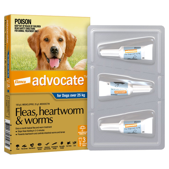 Advocate Grey- Extra Large Dog Over 25kg