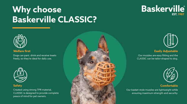 Baskerville Ultra Muzzle - Skin Tone