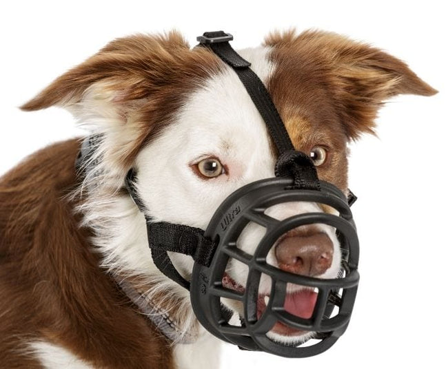 Baskerville Ultra Muzzle - Black