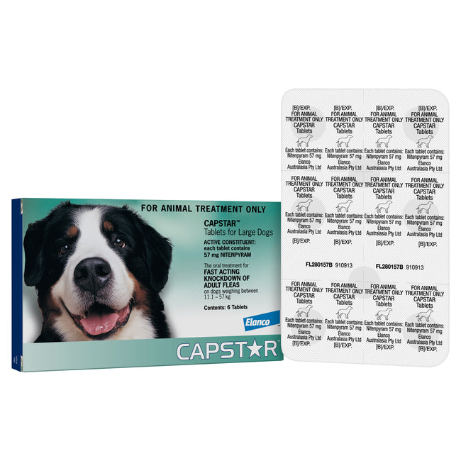 Capstar Medium and Large Dogs Over 11kg - 6 Pack