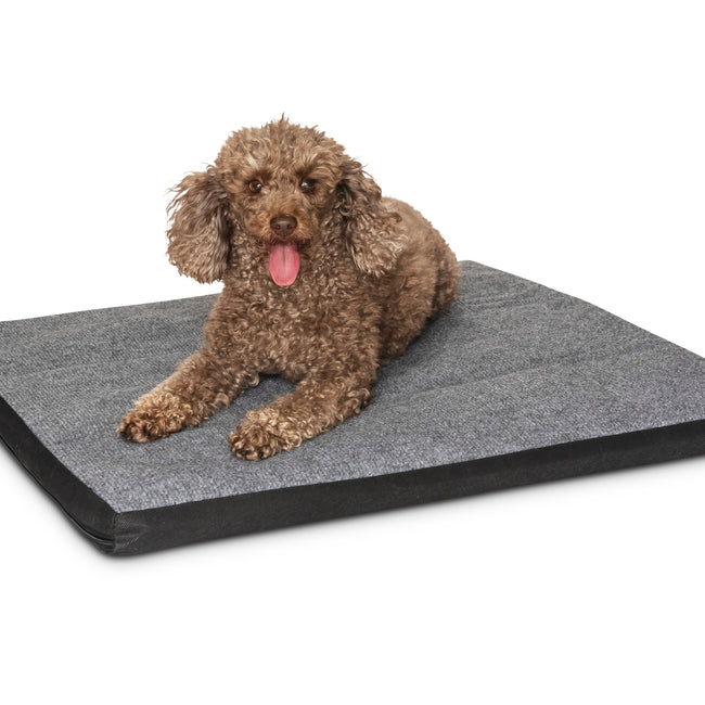 Carpet Dog Mat