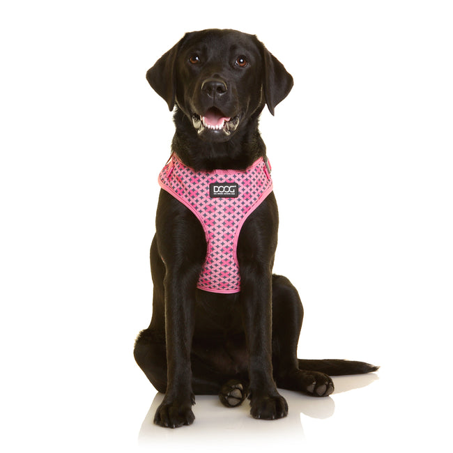 Doog Neoflex Toto Harness
