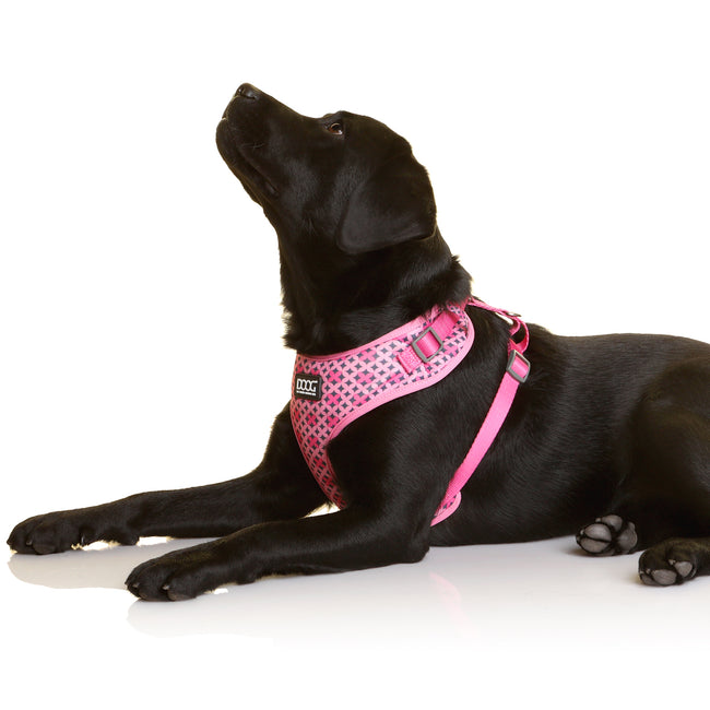 Doog Neoflex Toto Harness