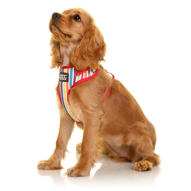 Doog Neoflex Scooby Harness