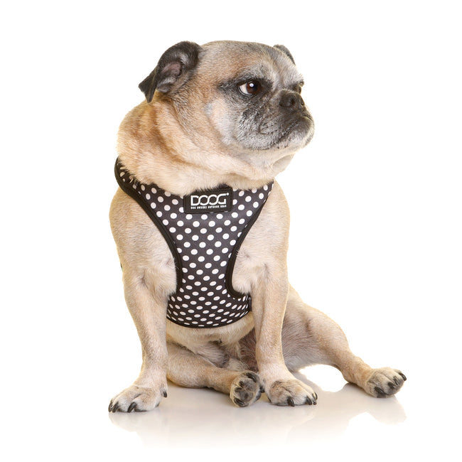 Doog Neoflex Pongo Harness