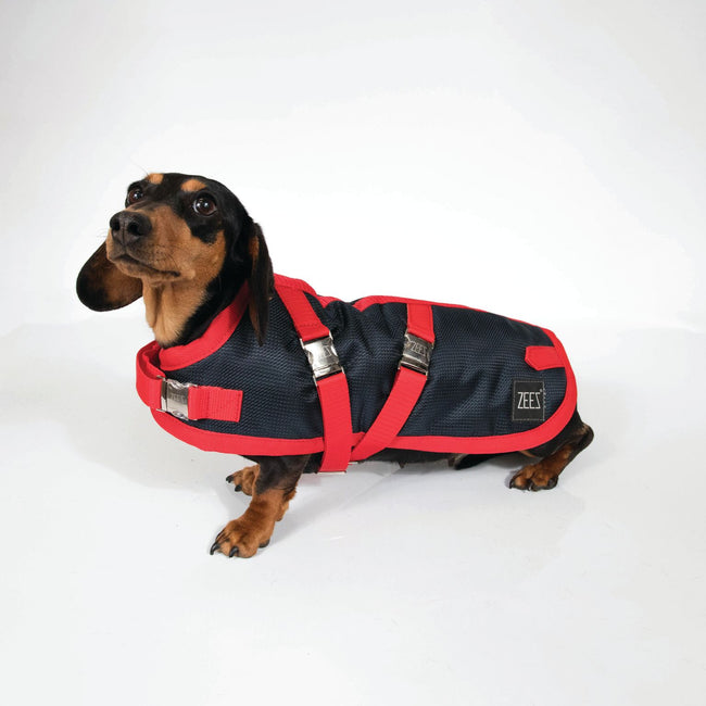 Zeez Supreme Dachshund Coat Navy & Red