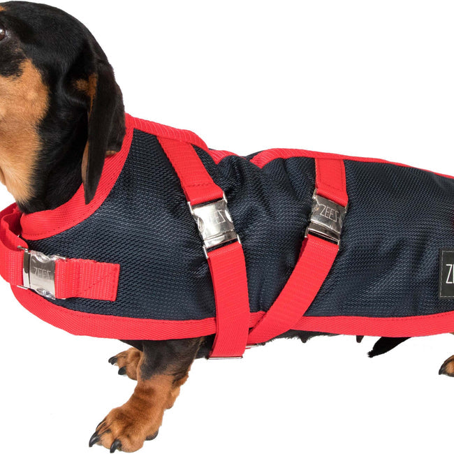 Zeez Supreme Dachshund Coat Navy & Red