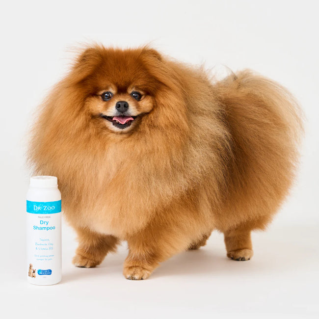 Dr Zoo Talc Free Dry Shampoo 200g