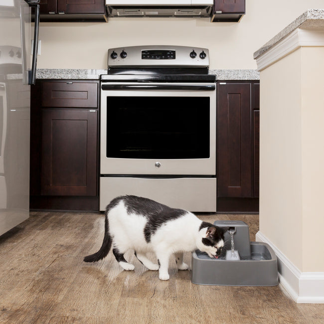 Drinkwell Pet Fountain