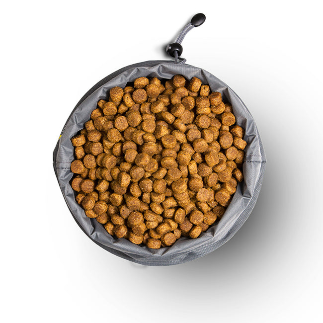 EzyDog Drive Bowl