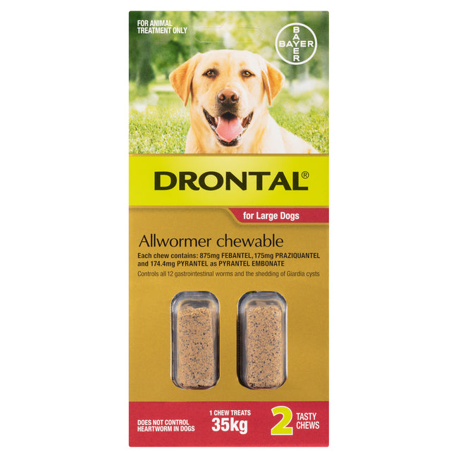 Drontal Allwormer Chewable Large Dog