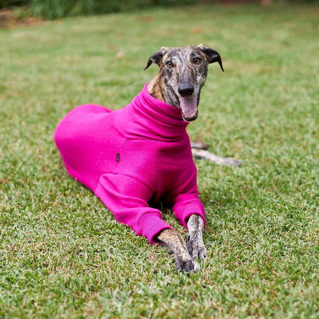 Greyhound Jumper - Kakadu