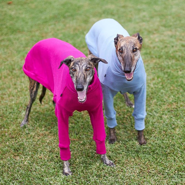 Greyhound Jumper - Kakadu