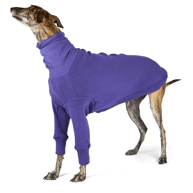 Greyhound Jumper - Sundown