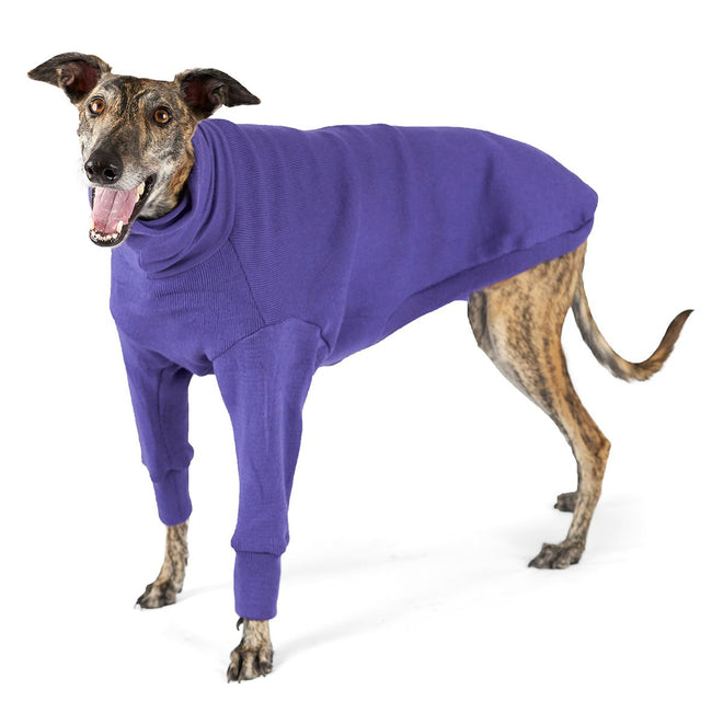 Greyhound Jumper - Sundown