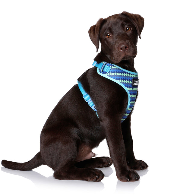 Doog Neoflex Pluto Harness