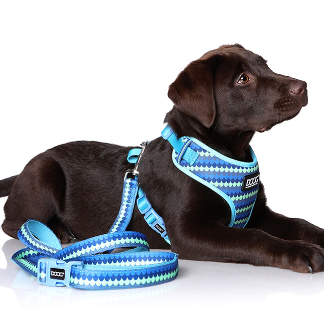 Doog Neoflex Pluto Harness