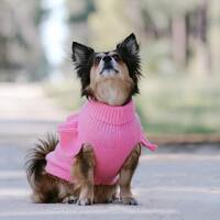 Huskimo Jumper Frill Knit Bubblegum