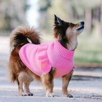 Huskimo Jumper Frill Knit Bubblegum