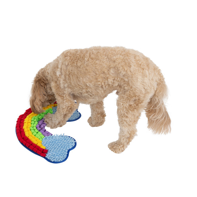 Rainbow Snuffle Mat