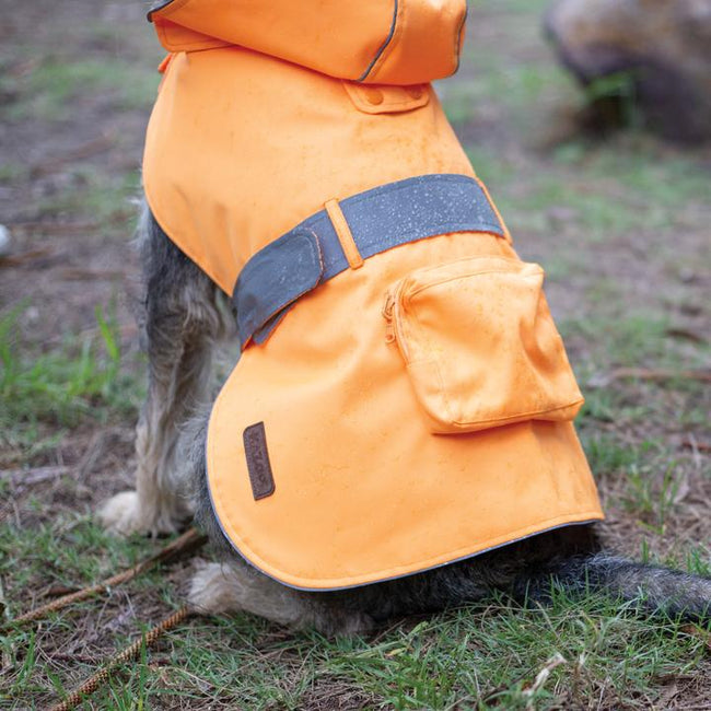 Kazoo Rainy Days Raincoat
