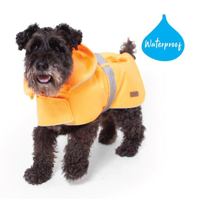 Kazoo Rainy Days Raincoat