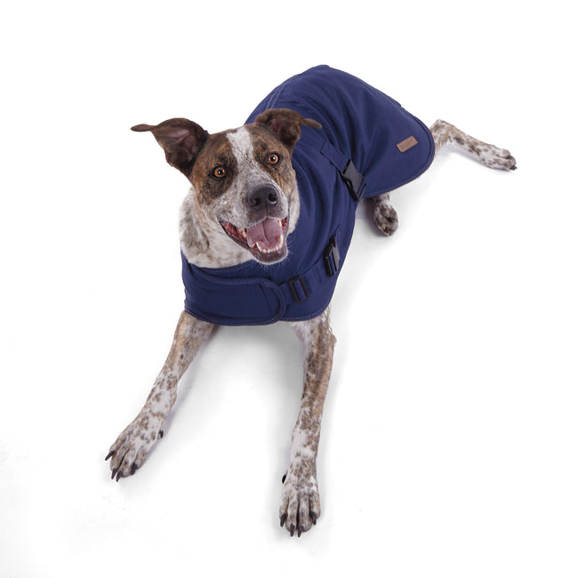 Adventure Coat Blue