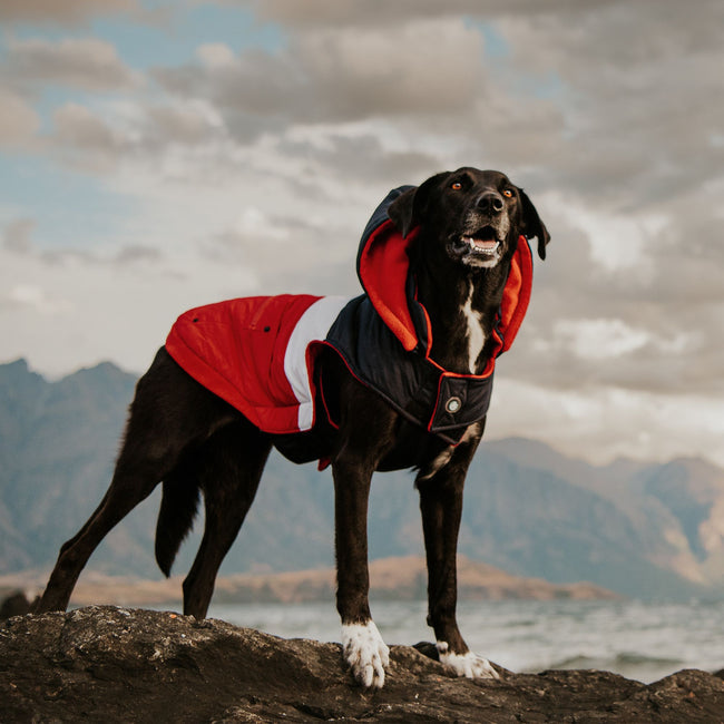 Huskimo Mt Buller Navy Red