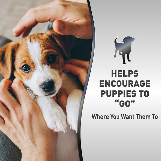 Natures Miracle Puppy Potty Training Spray 473ml