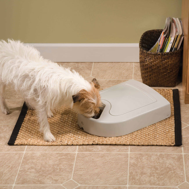 Eatwell 5 Meal Pet Feeder
