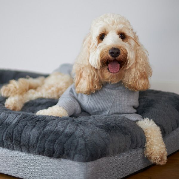 Kazoo Pooch Pajamas - Grey