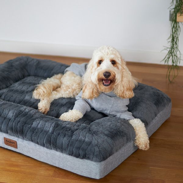 Kazoo Pooch Pajamas - Grey