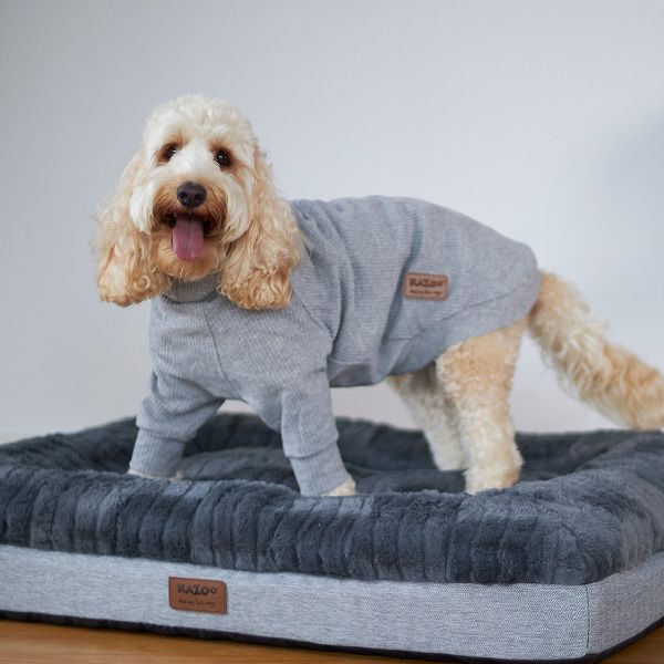 Kazoo Pooch Pajamas - Grey