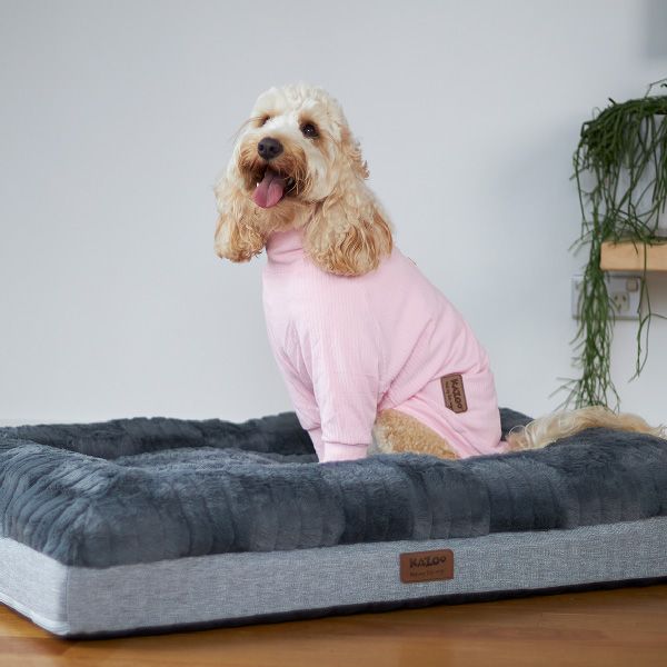 Kazoo Pooch Pajamas - Pink