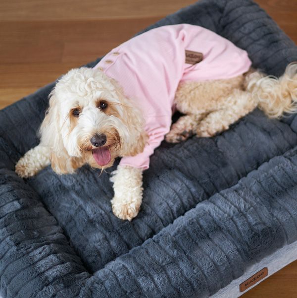 Kazoo Pooch Pajamas - Pink