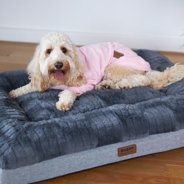 Kazoo Pooch Pajamas - Pink