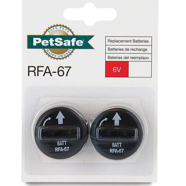6 Volt Lithium Battery 2 Pack