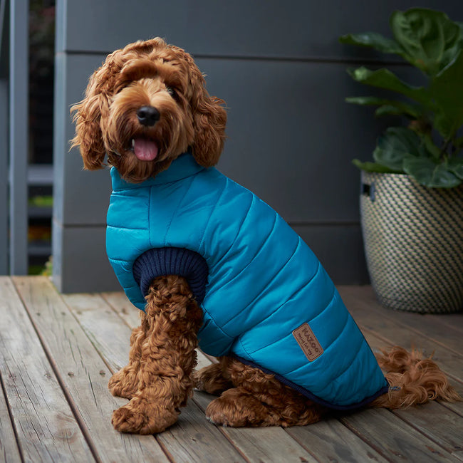 Kazoo Reversible Puffer - Red & Blue