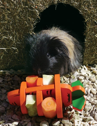 Woodies 3D Carrot