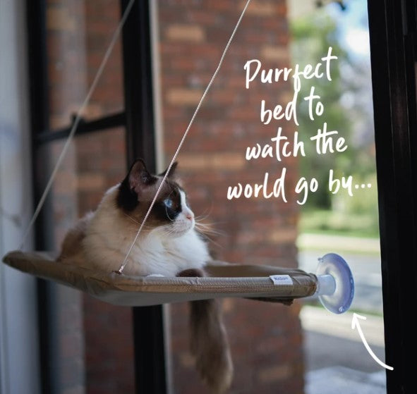 Lookout Window Cat Bed